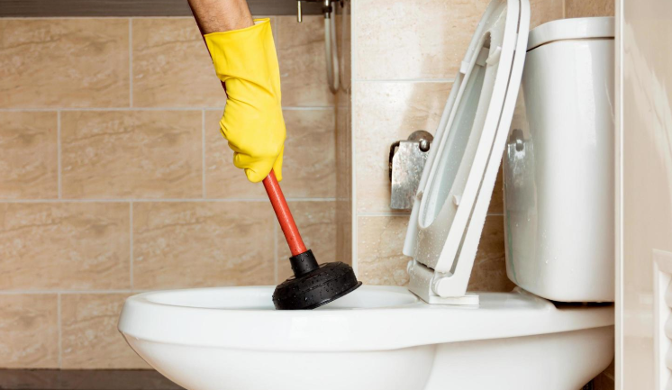 Quick and Easy Tricks to Unclog Your Toilet Without a Plunger