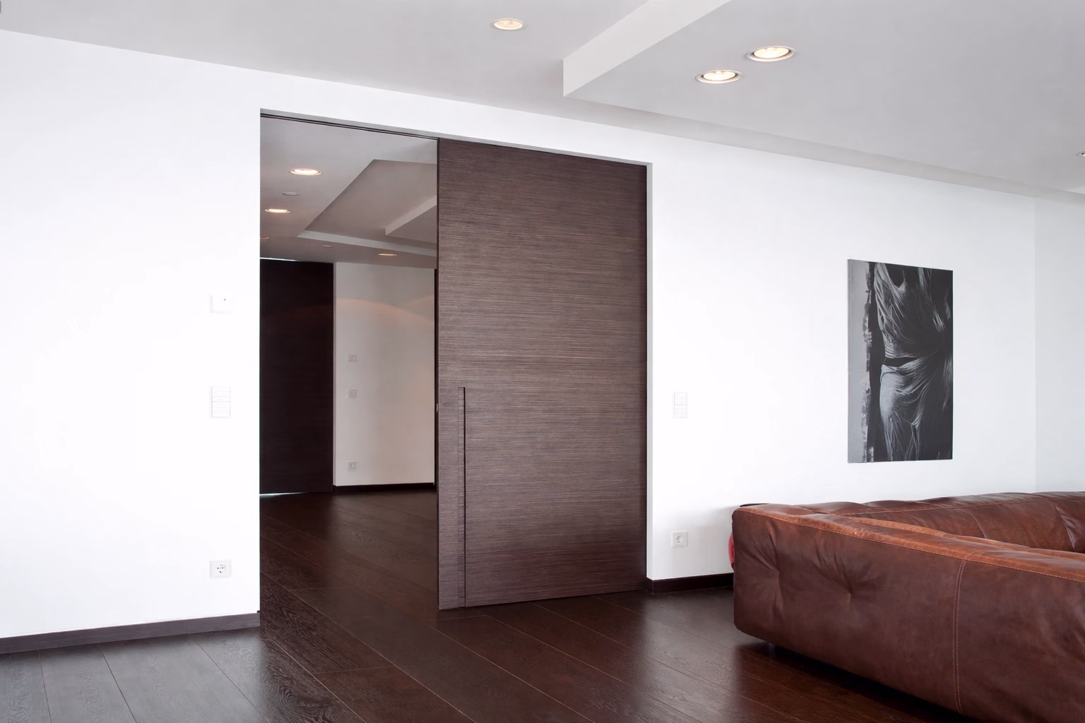 Pocket door from China for space-saving apartment and interior projects